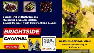 Daryl W Locklear MSCIS Appears On the Brightside Food and Drink Channel