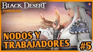 NODOS Y TRABAJADORES BDO