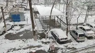 снег 18 февраля 2024 Ташкент