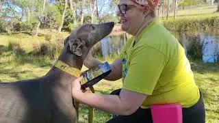 Vetafarm proudly support Greyhound Rescue with DentaShield