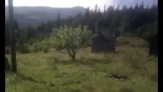 Карпаты. Быстрец