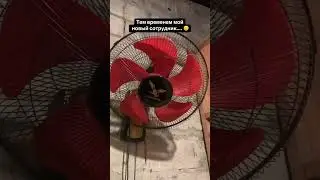 Знакомо?