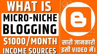 3 Best Micro Niche Blogging Ideas 2023