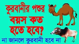 কুরবানিতে পশুর বয়স কত হতে হবে। What is the age of the animal to be sacrificed? Eidul azha, kurbani