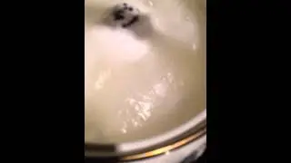 Marshmallow murder 2