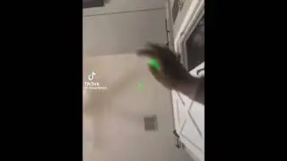 some light fails on a stupid person