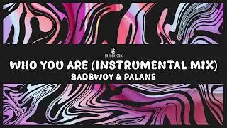 Badbwoy & Palane - Who You Are (Instrumental Mix)