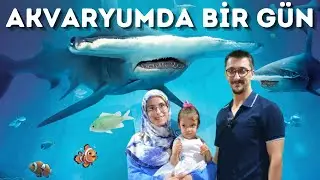 BU BALIKLARI İLK DEFA GÖRECEKSİZNİZ 🐟 SU ALTI YAŞAM BÖYLE MİYMİŞ ? 😍 İstanbul Sealife Akvaryum