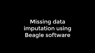 Imputation of missing data using Beagle software.