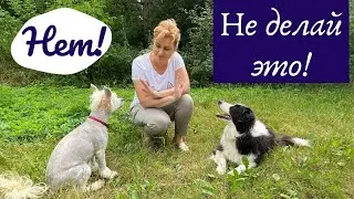 Зачем нужна команда 