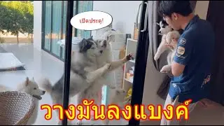 วางมันลงเดี๋ยวนี้แบงค์ไม่งั้นบ้านพัง