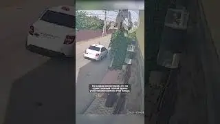 Абу-бандиты грабят благотворительные ящики #мигранты #новости #свежиеновости #важно #shots #youtube