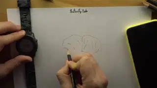 Зубной техник рисует зуб за 60 сек. Часть 1. Design tooth. draw the teeth. алоха