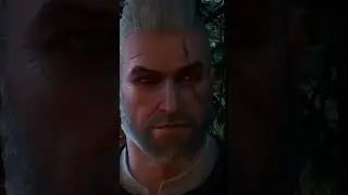 Я уже видел такие • Ведьмак 3: Дикая Охота #Shorts #thewitcher3wildhunt #thewitcher #bazunchik