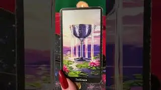 Карта дня ТУЗ КУБЕОВ
