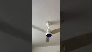 BLDC Motor Ceiling Fan 😩 #fan #shortsvideo #fansound #shorts #viralvideo