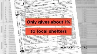 Where Does Your Donation To The Humane Society of the United States Really Go?