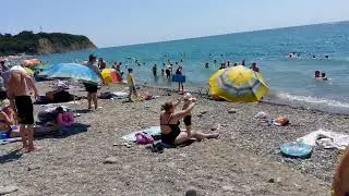 Криница сегодня 10.08.2024