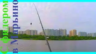 С фидером в Марьино. (30.05.2021)