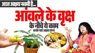 आज अक्षय नवमी है...आंवले के वृक्ष के नीचे ये काम करके पाएं अक्षय पुण्य | Shri Kaushik Ji Maharaj