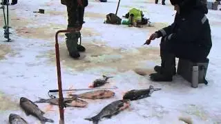 Зимняя рыбалка (Часть 20)