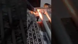 Ни что не предвещало до!смотрите до конца