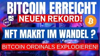Bitcoin-HODLer, NFT-Markt & Bitcoin Ordinals: Explosive Entwicklungen!