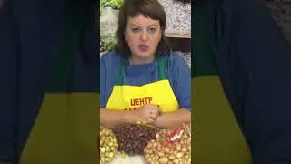 THE POPULAR GARLIC VARIETY THAT EVERYONE IS BUYING! LUBASHA WINTER GARLIC 