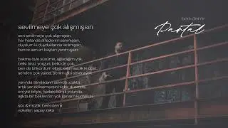 sevilmeye çok alışmışsın - berk demir (partal)