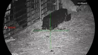 MORE MASSIVE RATS ON TONIGHTS SESSION