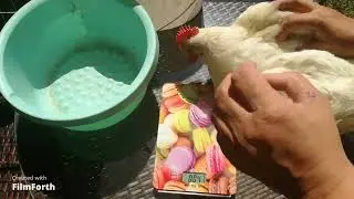 Конечный результат, забой бройлера.