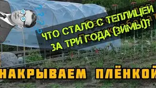 Что стало с теплицей за 3 зимы?