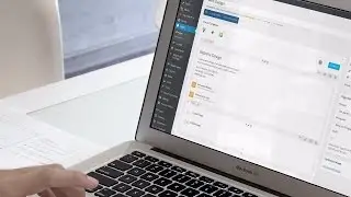 How to import PDF as link in WordPress
