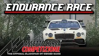 Assetto Corsa Competizione SPA 4 Hour driver swap Endurance Race Sim RacePL