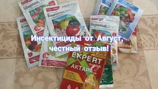 Инсектициды от фирмы Август! Отзыв после сезона! Сравниваю с Баер и Сингентой.