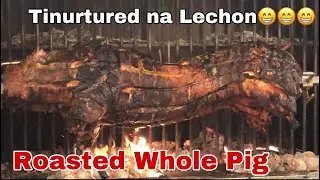 German Lechon Baboy |Lechon whole Pig |Lechon Baboy| pork lechon