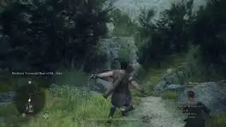 30 FPS
