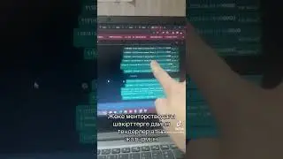 10 апреля 2024 г.