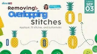 Removing Overlapping Stitches | Software Success