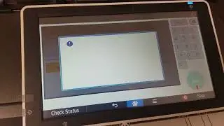 Ricoh print head cleaning and flushing