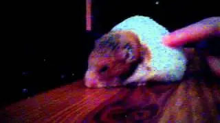 2011 06 17 20 59 34 885