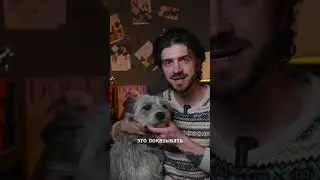 Не надо гладить собаку так