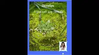 Гороскоп для Тельца на Октябрь