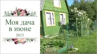 моя дача в июне 2015г.