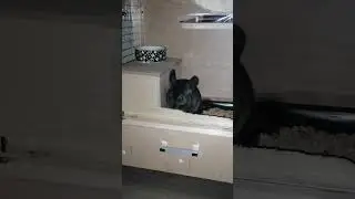 Вечерний Ураган...