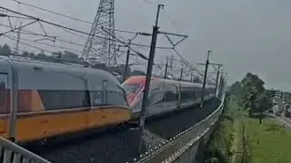 WOWW....‼️ Momen dinantikan tiba, Emu Red Komodo & Emu CIT Bergandengan. #shorts #kangkanda