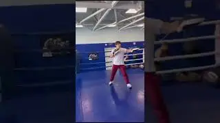 работа на лапах