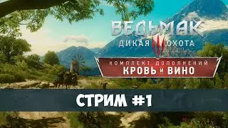 Ведьмак 3 Дикая охота - Кровь и вино - Посольство из винного края - стрим #1