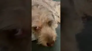 #cover
