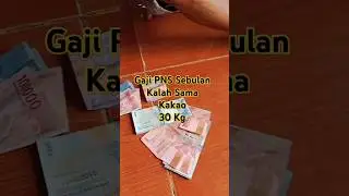 Gaji PNS Sebulan kalah sama Kakao 30 kg